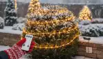 Lichtschlauch Outdoor: Ideen für Weihnachten