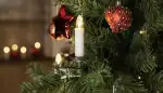Weihnachtsbaum beleuchten: Glanzvoll in Szene gesetzt