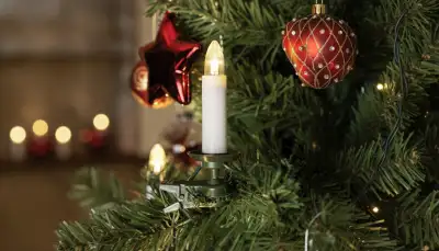 Weihnachtsbaum beleuchten: Glanzvoll in Szene gesetzt